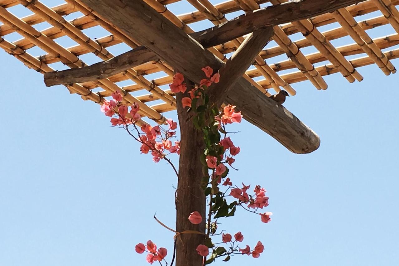 Riad Of The Storks - Exclusive Use For Up To 17 Persons Μαρακές Εξωτερικό φωτογραφία